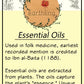 Rosemary Essential Oil
