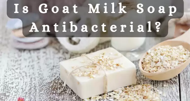 Is Goat Milk Soap Antibacterial
