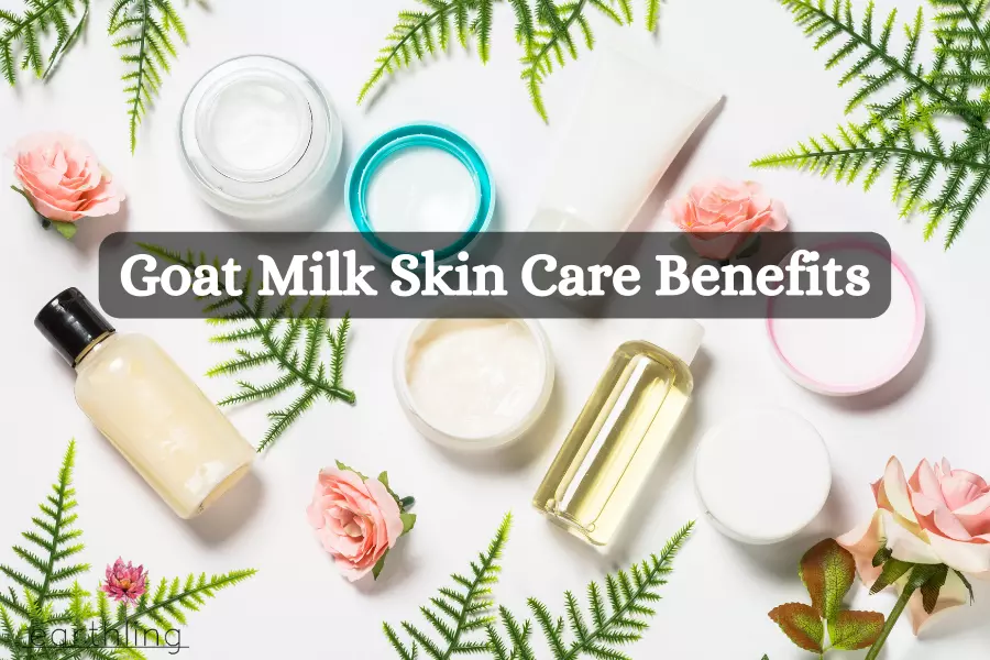 goat milk skin care benefits